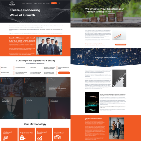 VALUWIT website content